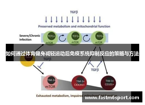 如何通过体育健身减轻运动后免疫系统抑制反应的策略与方法